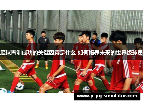 足球青训成功的关键因素是什么 如何培养未来的世界级球员