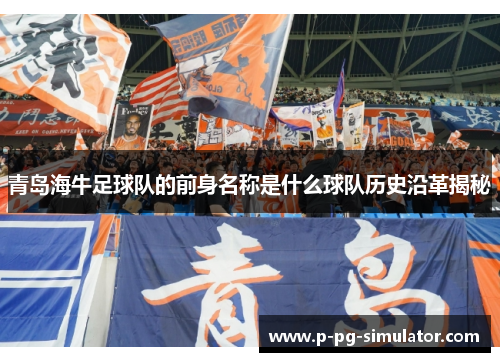青岛海牛足球队的前身名称是什么球队历史沿革揭秘