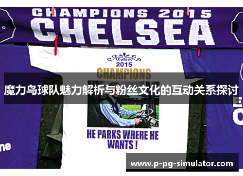 魔力鸟球队魅力解析与粉丝文化的互动关系探讨