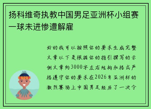扬科维奇执教中国男足亚洲杯小组赛一球未进惨遭解雇